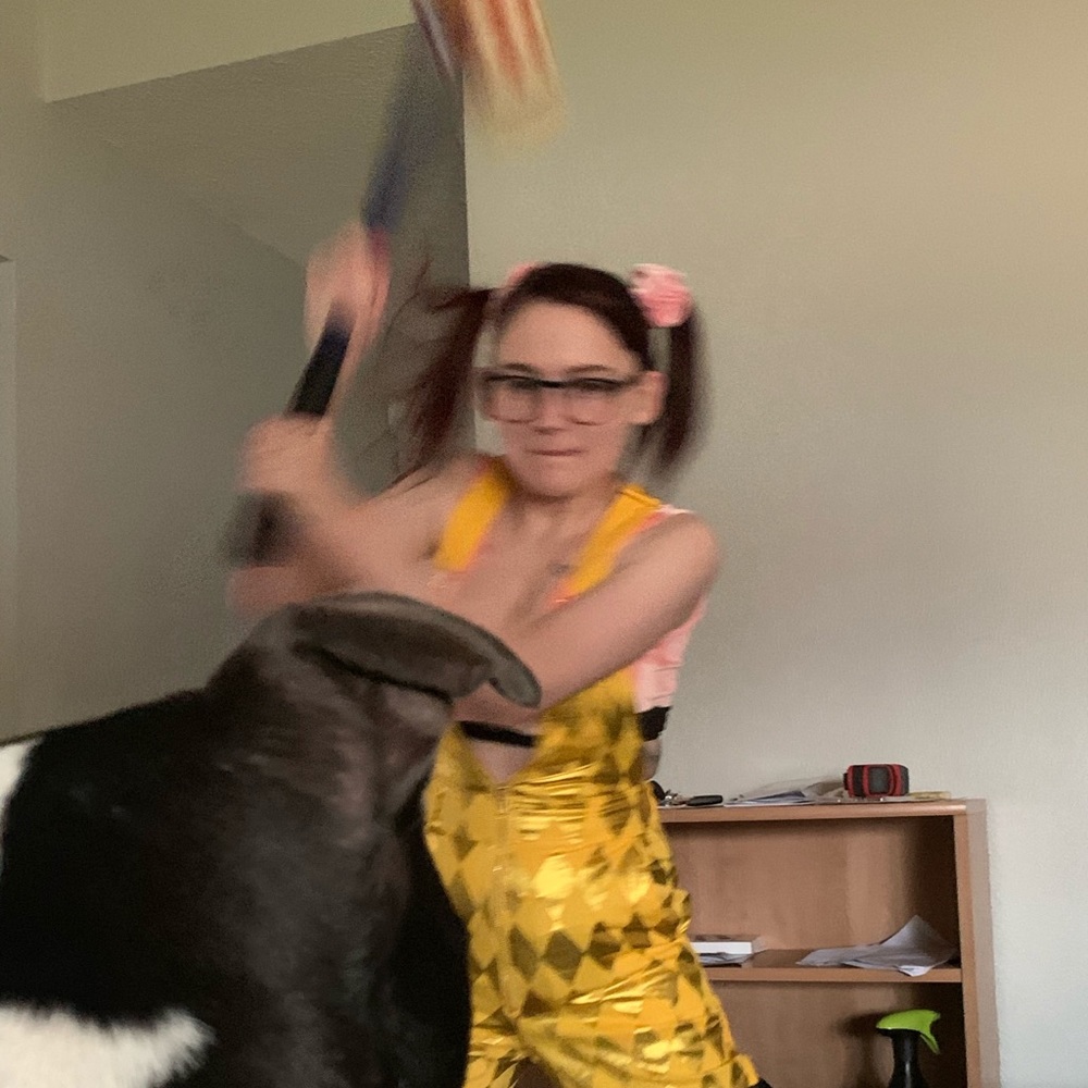 Meet your Posher, Bailey